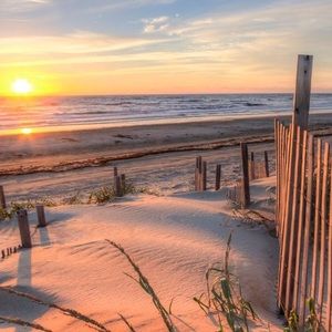 Meet your Posher, Amelia